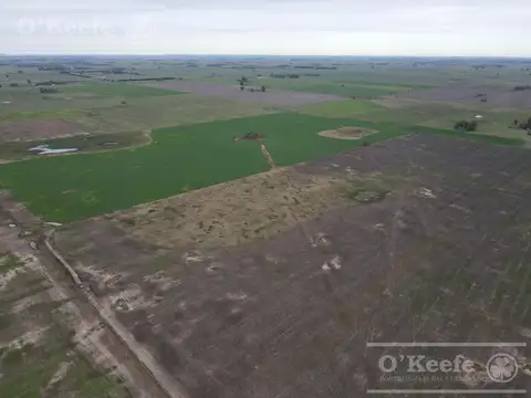 Campo en venta 180 Has mixtas en Gral. Las Heras