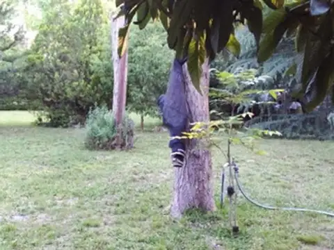 Terreno en Venta en Refinerias, USD 125.000