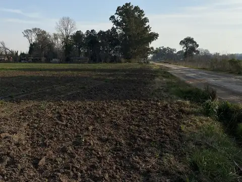 Carlos Pellegrini y Emilio Mitre