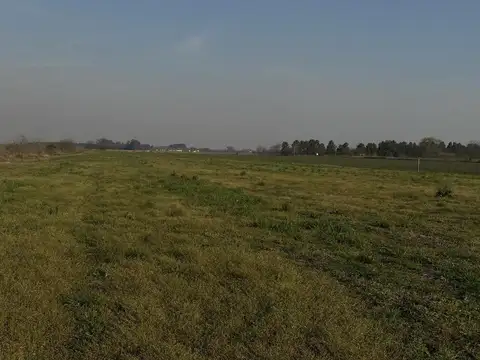 Carlos Pellegrini y Emilio Mitre