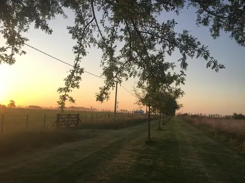 Terreno en Venta en Zapiola, USD 48.000