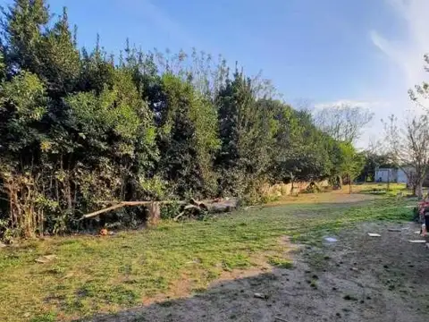 Dragones y Migueletes 300