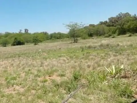 OPORTUNIDAD VENTA IMPOTENTE CAMPO DE 6 HECTAREAS ESCUCHA OFERTA