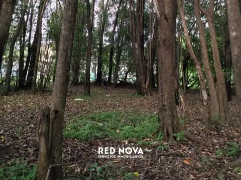 Lote En Venta En Villa Catalina