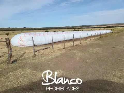 Campo  en Venta en Villa Mercedes, Pedernera, San Luis