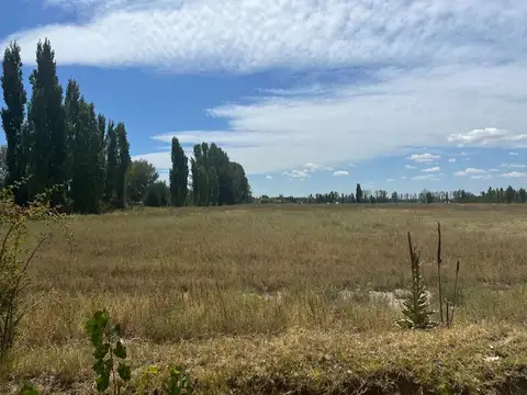 Lote 44.878 m2
