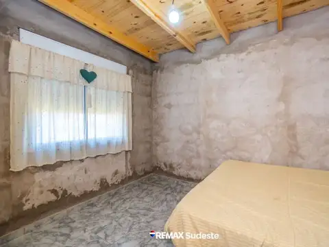 AMEGUINO 100
