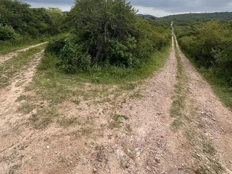 Camino del cuadrado