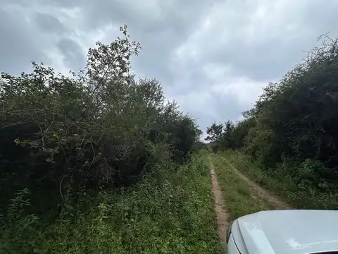 Terreno en Venta de 10160,0 m2