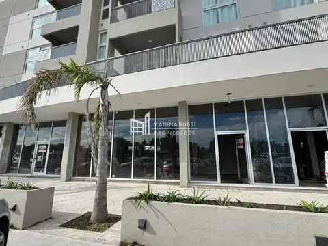 colectora este 1011 100