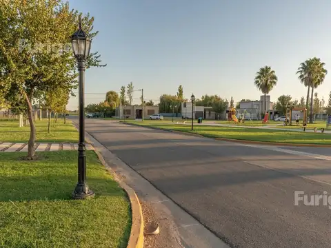 Los Viñedos