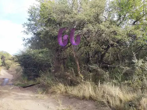 Terreno en Venta de 1509,63 m2