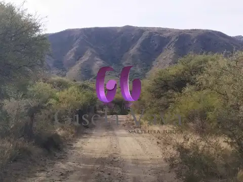 Terreno en Venta en Cortaderas, USD 28.500