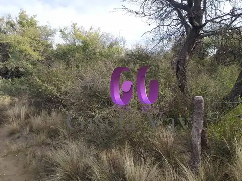 LOTES DE 1509 M2 - VILLA ELENA - CORTADERAS -SAN LUIS (GL)