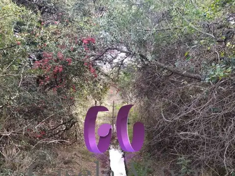 Terreno en Venta de 1509,63 m2