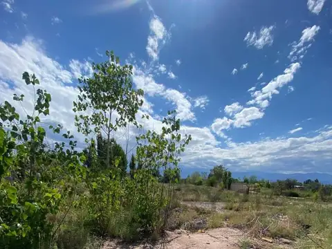 Terreno en Venta 45  mts Frente