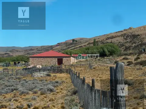 Campo - Gobernador Gregores