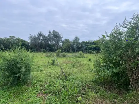 Terreno en Venta de 30000,0 m2