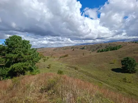 VENTA LOTE SAN MIGUEL DE LOS RIOS YACANTO CÓRDOBA