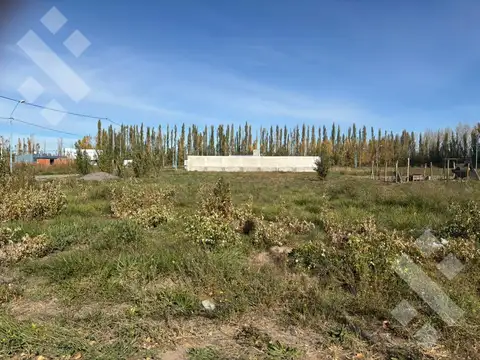 Terreno en Venta en General Roca, USD 13.000