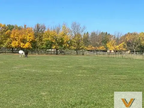 Terreno en Venta de 5000,0 m2