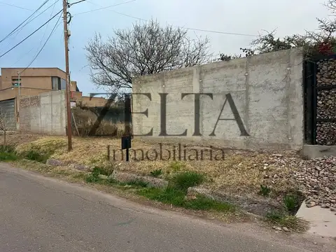 Los Bodegueros 500