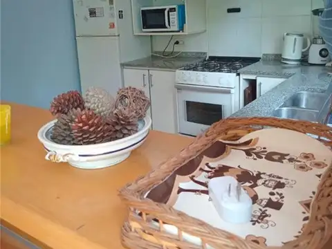 Caracol 100