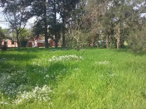 Quinta en Venta en Laguna de Lobos, USD 85.000