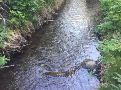 Campo en Venta con Alambrado