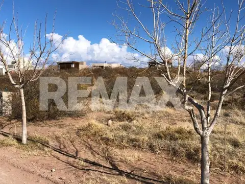 Terreno en Venta en Picun Leufu, USD 26.500
