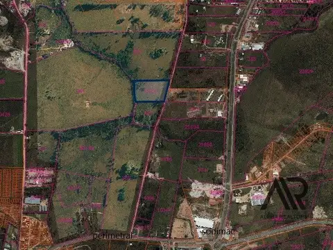 Ruta 100