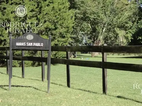 Haras San Pablo 200