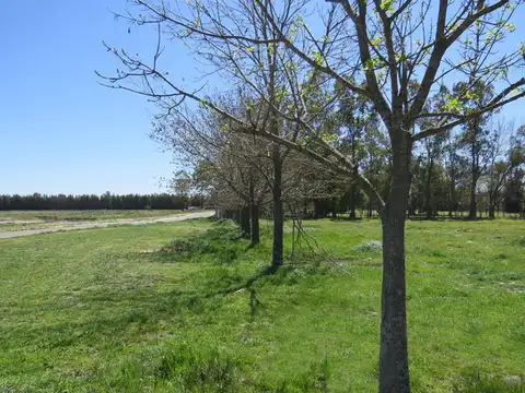 Lote en Venta Canning Barrio Santa Inés-ETAPA 1