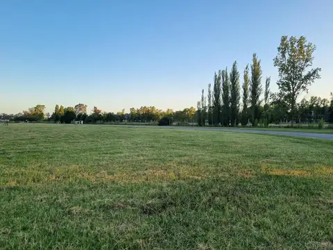 Av. Pereda S/n, Maximo Paz al 1800