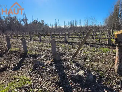En Venta Chacra 20 ha en Ruta 151 Cinco Esquinas