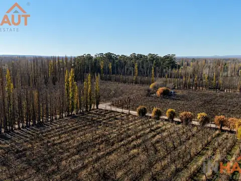 En Venta Chacra 20 ha-Casa con Pileta- Cinco Esquinas Cipolletti