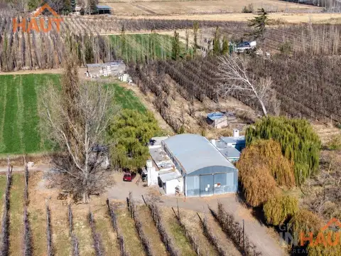 En Venta Chacra 20 ha-Casa con Pileta- Cinco Esquinas Cipolletti