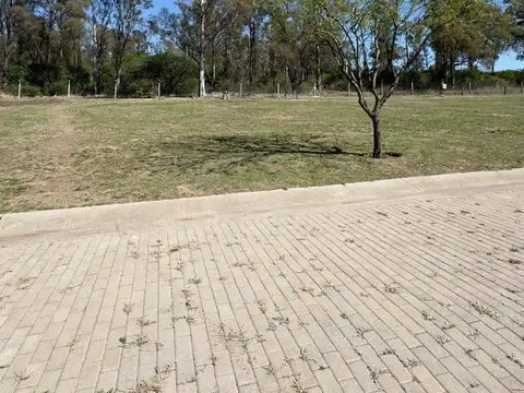 Terreno en Venta 34  mts Fondo