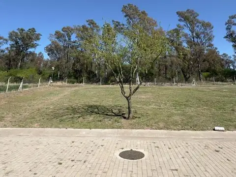 Terreno en Venta 20  mts Frente