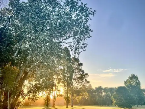 Terreno en Venta 20  mts Frente