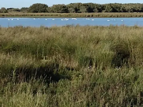 ruta 74 - km 5.5