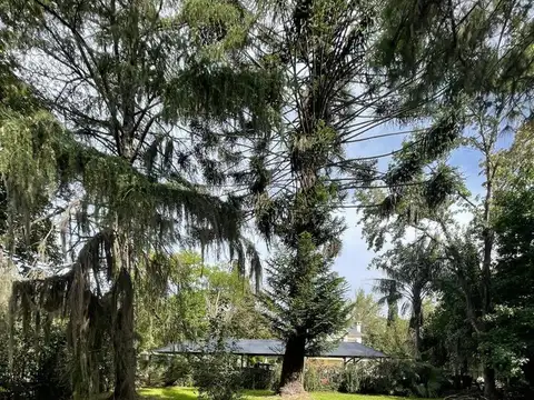 Casa en Venta al Este