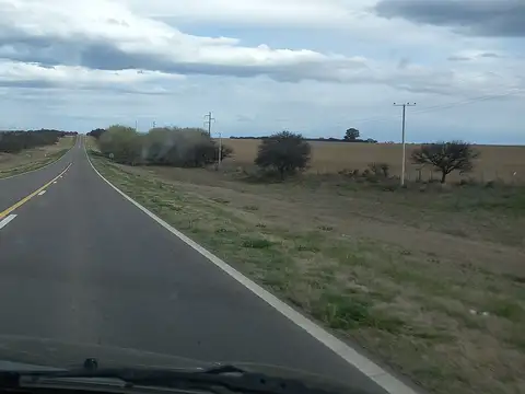 VENTA DE 87 HECTAREAS EN SANTIAGO DEL ESTERO