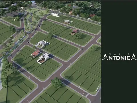 Desarrollo Inmobiliario Valle Antonica