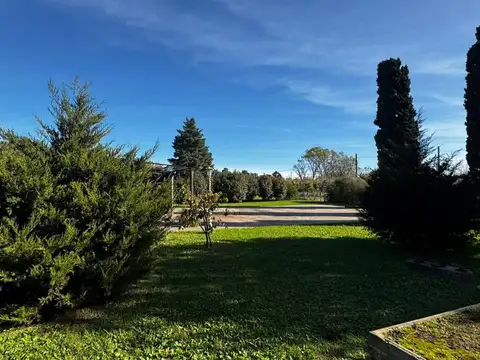 Quinta localidad de Valdes