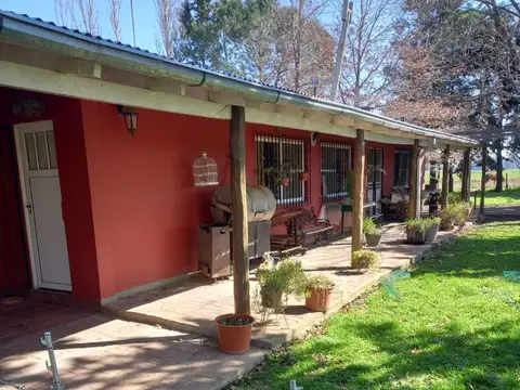 VENTA CAMPO CHACRA LOBOS ZAPIOLA