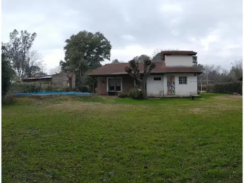Arozarena 300