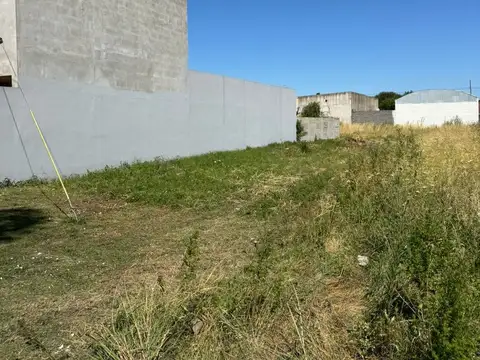 Guido Spano 900