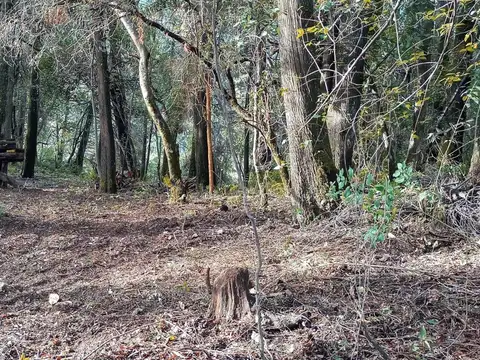 Lote en Venta, en Aguas Azules, Villa La Angostura, Neuquén