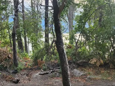 Lote en Venta, en Aguas Azules, Villa La Angostura, Neuquén